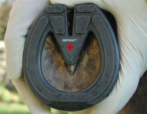 The Promising Results of Magic Cushion in Laminitis Management